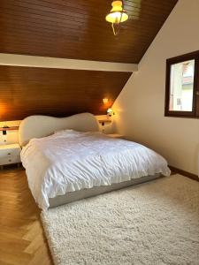 Maison avec vue du Lac Du Bourget