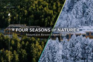 Kokhta Mitarbi Resort - studio in Bakuriani B3 404