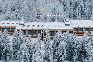 Kokhta Mitarbi Resort - studio in Bakuriani B3 404
