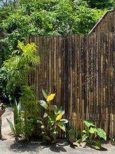 Uwak Gallery