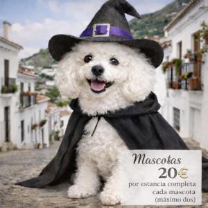 El nido del búho Soportujar Casa con terraza