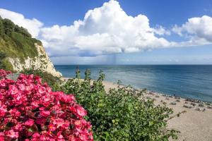 2 Bed in Beer oc-jbpio7