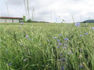 Ferienhof Windegg