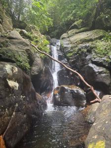 Moss Forest Cabin Wild Hikes &River Escapes withmeals