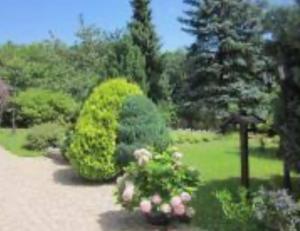 Hotel W Wolfsschlucht