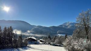 Hundepension Almfrieden