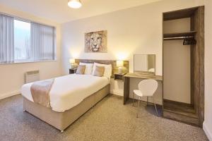 Host & Stay - Illumination Suite