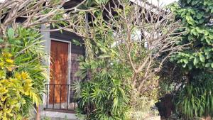 เฮือนอุ้ยดี2