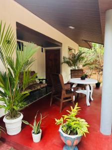 Green Haven Villa