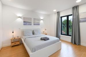 ON Apartments - MA62 Downtown