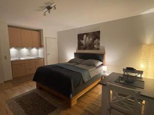 Panorama-Haus Studio-Apartment Pfänder