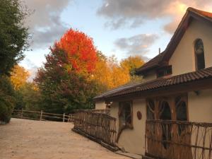 Glastonbury tranquility