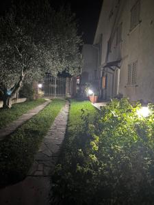 Tetto Verde