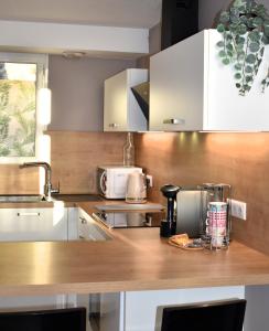 Cosy Duplex T1Bis