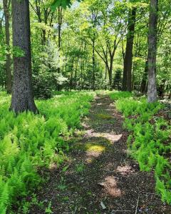 Pocono Farmhouse - Fully Renovated 1881 Home