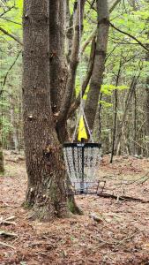 Pocono Farmhouse - Fully Renovated 1881 Home