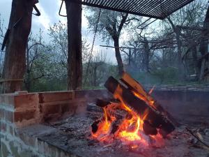 Charming cottage in the Carpathian Mountains