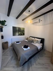 Beam Lodge One Bedroom Terrace Oradea