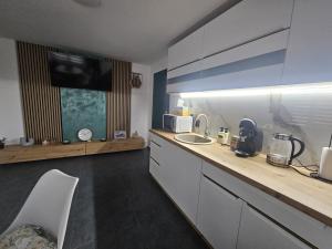 Casa Apartament Refugiul Dornean