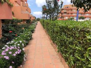 Del Mar - Ático dúplex en primera línea de playa