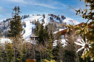 Abode at Black Bear 207