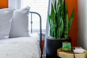 Jungle House Luxury Stays - Columbus Downtown Short North