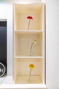 Premium Modern Penthouse