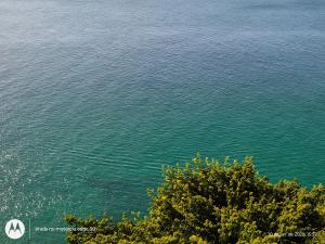 1 Quarto carnaval 2026