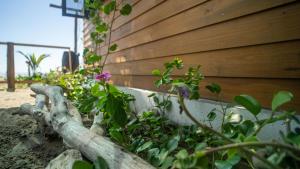 Seafront Cabin, Peaceful Retreat in Chacahua