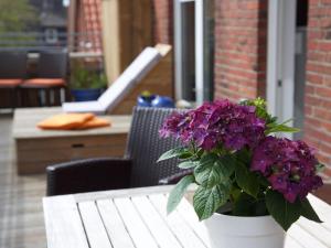 Penthuus Modern retreat