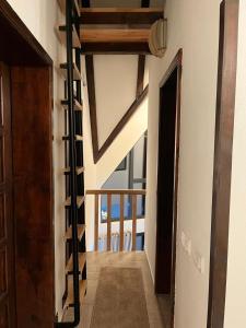 Ćilibar Stara planina