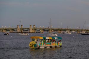 Cool Waves Oceanfront Retreat - St Augustine Beach 2 Pools 5 Hot Tubs! On the Beach