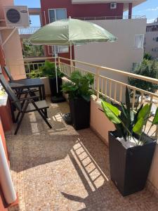 Sunny Beach apartment