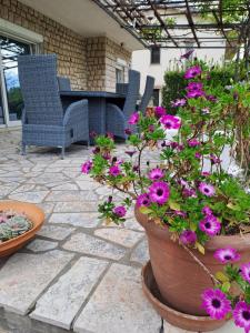 Novi Vinodolski apartments