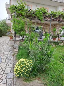 Novi Vinodolski apartments