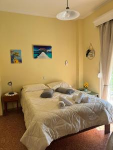 Beautiful and modern apartment 3G