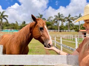 Experiência Rural Autêntica na Mantiqueira, Casa de Campo com Cavalos e Natureza Viva