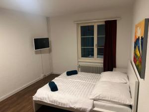 Central Living Brugg - Studio 11