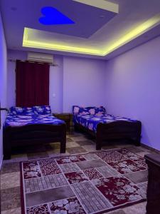 ميامي العيسوي