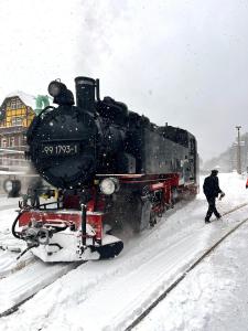 Waldhaus zur Kleinbahn