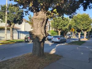 Departamento céntrico independiente muy acogedor Viña del Mar 2 dormitorios con estacionamiento apto para adultos y niños