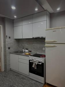 Luksar Apartment Niš