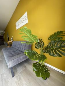 Departamentos Belgrano