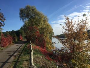 Maisons de vacances Loire Valley Medieval Getaway : photos des chambres