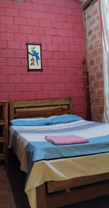 Mirador Jungle El Macuti