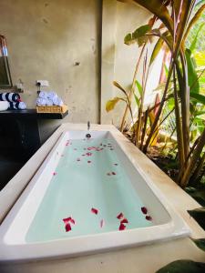 Still water Villa Tangalle