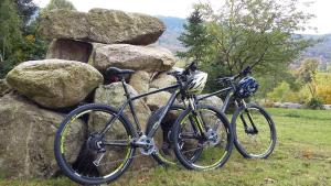 Apartment Rychtrovna