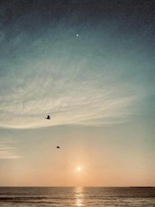 Serendipity