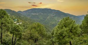 A Bluebell Villa I Jacuzzi I 3 Bedroom Villa With Open Air Lawn & BBQ l Bonfire Available l Kasauli By Exotic Stays