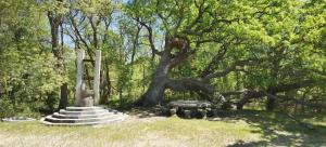 Casa Pelicanul Durduliu